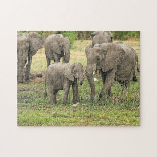 Elephant Herd Foto Puzzle Legpuzzel
