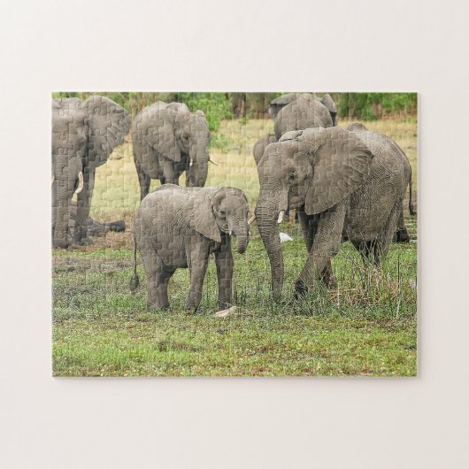 Elephant Herd Foto Puzzle Legpuzzel (Horizontaal)