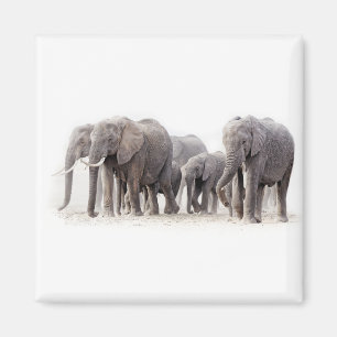 Elephant Herd Magneet