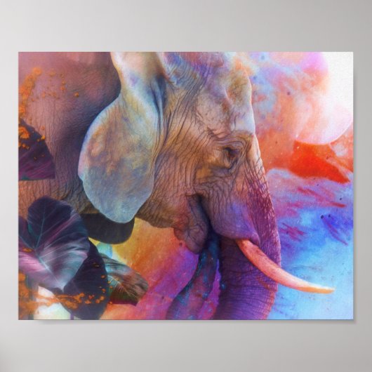 ELEPHANT HERSTELT ZACRED WATERS POSTER (Voorkant)