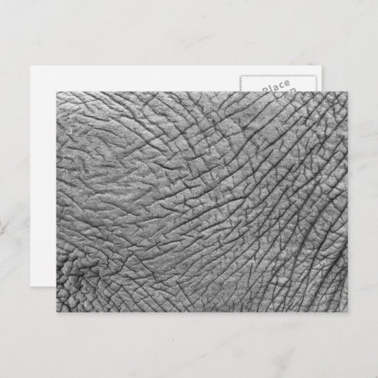 Elephant huid briefkaart (Voorkant / Achterkant)