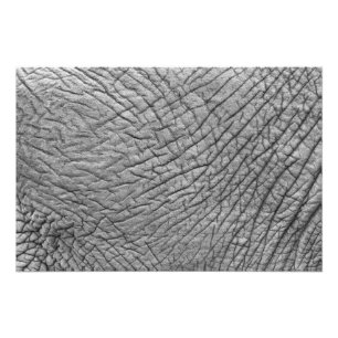 Elephant huid foto afdruk