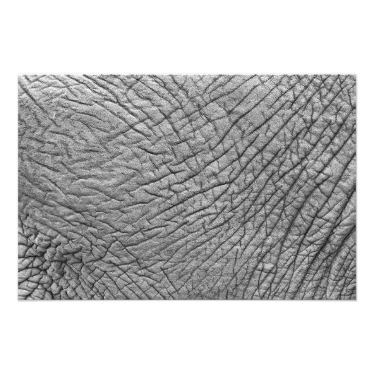 Elephant huid foto afdruk (Voorkant)