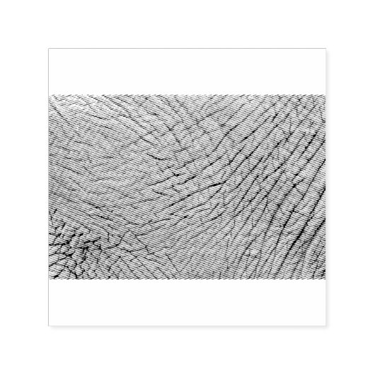Elephant huid  zelfinktende stempel (Design)