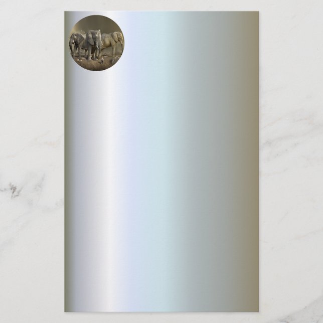 Elephant Hunter over Safari (Voorkant)
