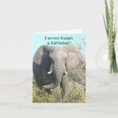 ELEPHANT/I VERGEET NOOIT EEN BIRTHDAY/EXCEPT VAN U KAART (Voorkant)