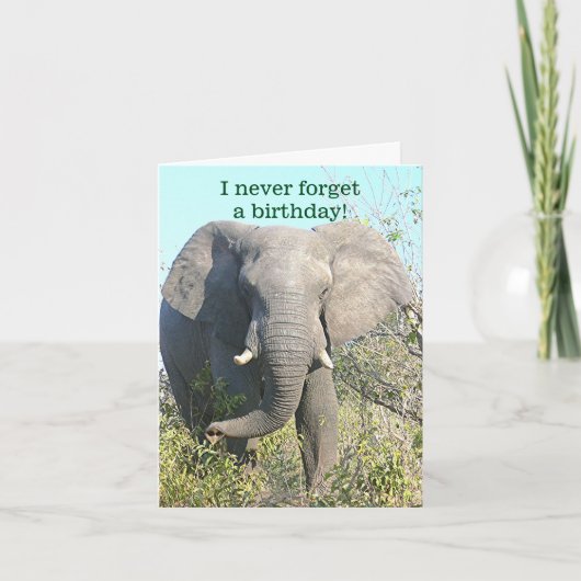 ELEPHANT/I VERGEET NOOIT EEN BIRTHDAY/EXCEPT VAN U KAART (Voorkant)