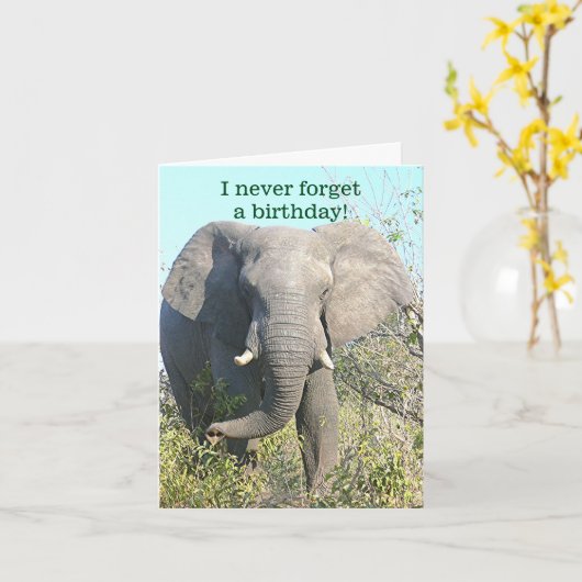 ELEPHANT/I VERGEET NOOIT EEN BIRTHDAY/EXCEPT VAN U KAART (Gele Bloem)