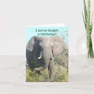 ELEPHANT/I VERGEET NOOIT EEN BIRTHDAY/EXCEPT VAN U KAART