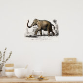 Elephant Illustration  Art Print (Keuken)