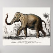 Elephant Illustration  Art Print (Voorkant)