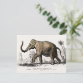 Elephant Illustration  Art Print Briefkaart (Staand voorkant)