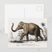 Elephant Illustration  Art Print Briefkaart (Voorkant / Achterkant)
