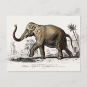 Elephant Illustration  Art Print Briefkaart (Voorkant)