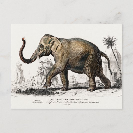 Elephant Illustration  Art Print Briefkaart (Voorkant)