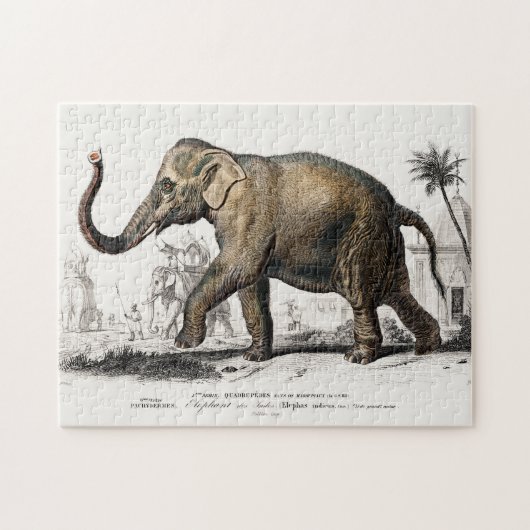 Elephant Illustration  Art Print Legpuzzel (Horizontaal)