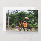 Elephant in Ayutthaya Thailand Briefkaart (Voorkant / Achterkant)