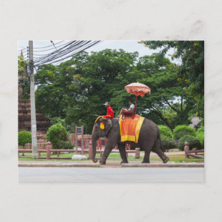 Elephant in Ayutthaya Thailand Briefkaart