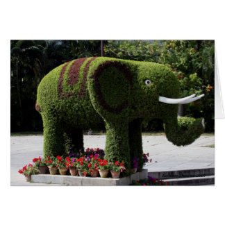Elephant in de chinese tuin