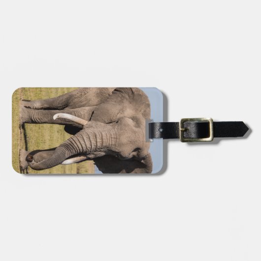 Elephant in een agressief middel bagagelabel (Voorkant horizontaal)