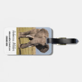 Elephant in een agressief middel bagagelabel (Achterkant horizontaal)