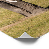 Elephant in een agressief middel poster (Hoek)