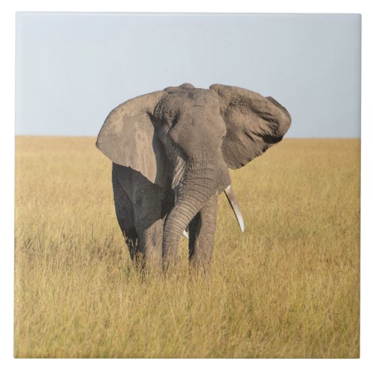 Elephant in Natural African Setting Ceramic Tile Tegeltje (Voorkant)