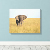 Elephant in Natural Setting Wrapped Canvas Print (Insitu (Houten vloer))