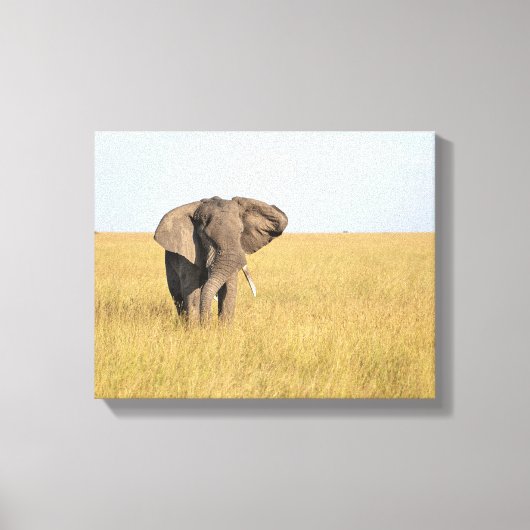 Elephant in Natural Setting Wrapped Canvas Print (Voorkant)