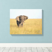 Elephant in Natural Setting Wrapped Canvas Print (Insitu (Houten vloer))