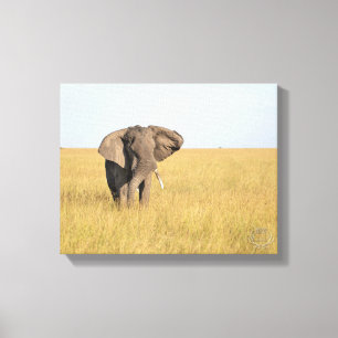 Elephant in Natural Setting Wrapped Canvas Print