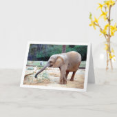 Elephant in Park Portrait Kaart (Gele Bloem)
