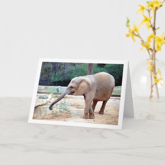 Elephant in Park Portrait Kaart (Gele Bloem)