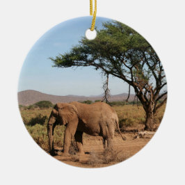 Elephant in Samburu National Reserve Keramisch Ornament