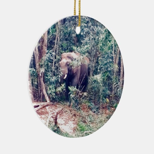 Elephant in Thailand Keramisch Ornament (Rechts)