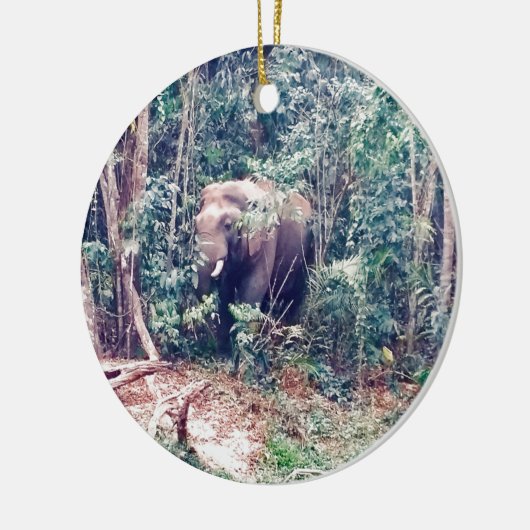 Elephant in Thailand Keramisch Ornament (Links)