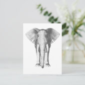 Elephant in zwart-wit briefkaart (Staand voorkant)