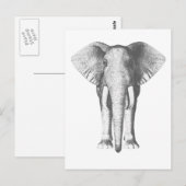 Elephant in zwart-wit briefkaart (Voorkant / Achterkant)