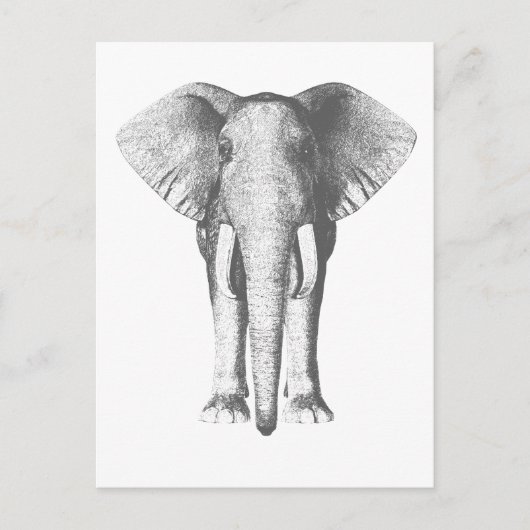 Elephant in zwart-wit briefkaart (Voorkant)