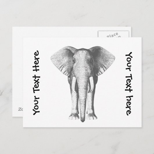 Elephant in zwart-wit briefkaart (Voorkant / Achterkant)