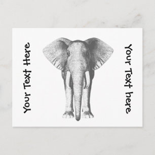 Elephant in zwart-wit briefkaart