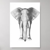 Elephant in zwart-wit poster (Voorkant)