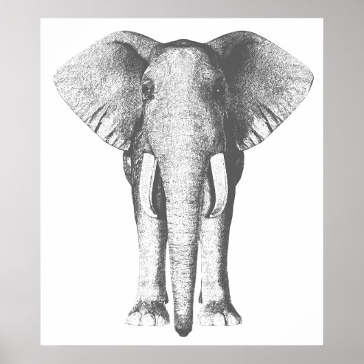 Elephant in zwart-wit poster (Voorkant)