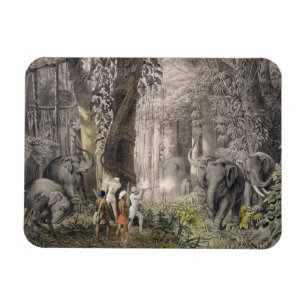 Elephant-jacht in de regio Logalla, van 'Trav' Magneet