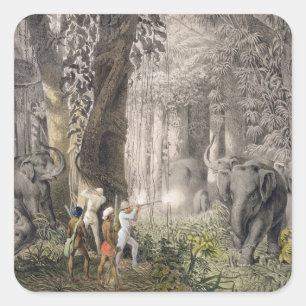 Elephant-jacht in de regio Logalla, van 'Trav' Vierkante Sticker
