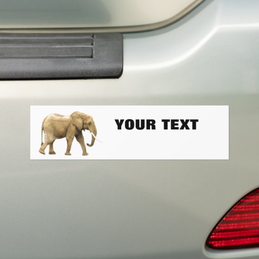 Elephant Jouw tekst "Folio Extra Bold" op wit Bumpersticker (Op auto)