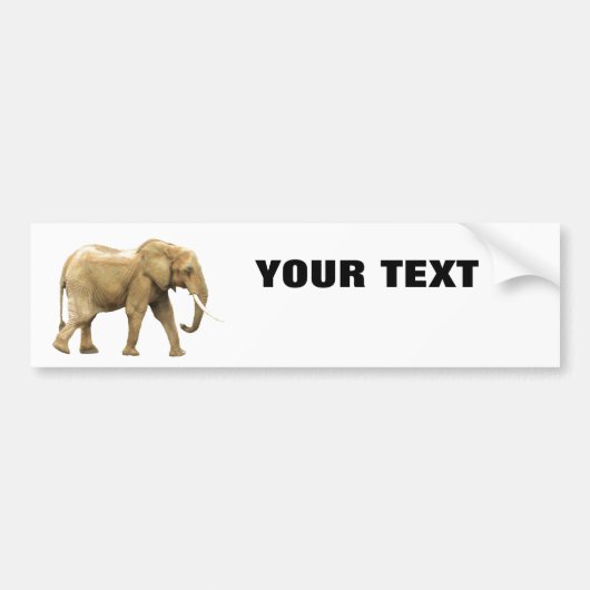 Elephant Jouw tekst "Folio Extra Bold" op wit Bumpersticker (Voorkant)