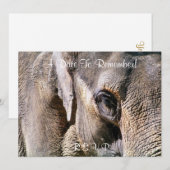 ELEPHANT KAART (Voorkant / Achterkant)