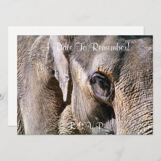 ELEPHANT KAART (Voorkant / Achterkant)