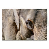 ELEPHANT KAART (Voorkant Horizontaal)